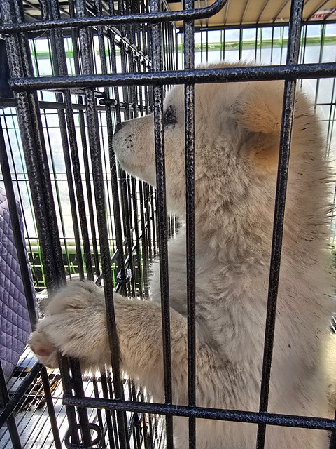 금일동물보호센터_444460202500065